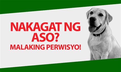 malaking perwisyo in english translation